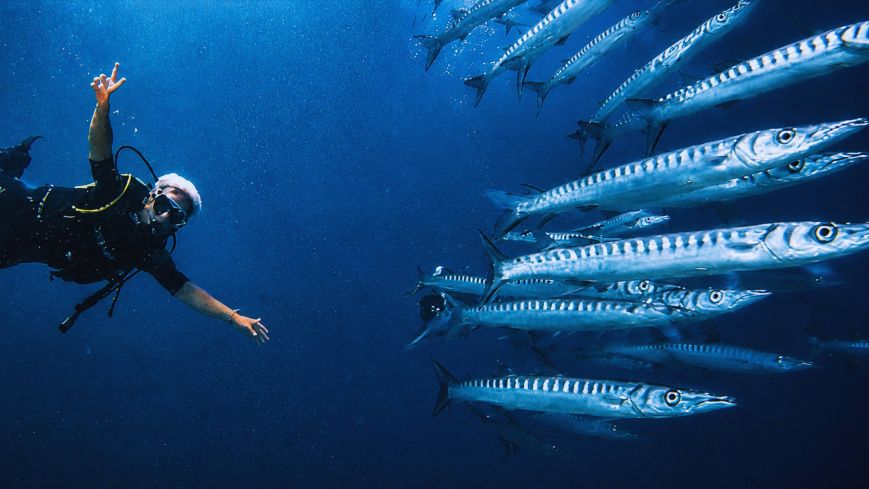 Buceo en Menorca en aguas cristalinas del Mediterráneo