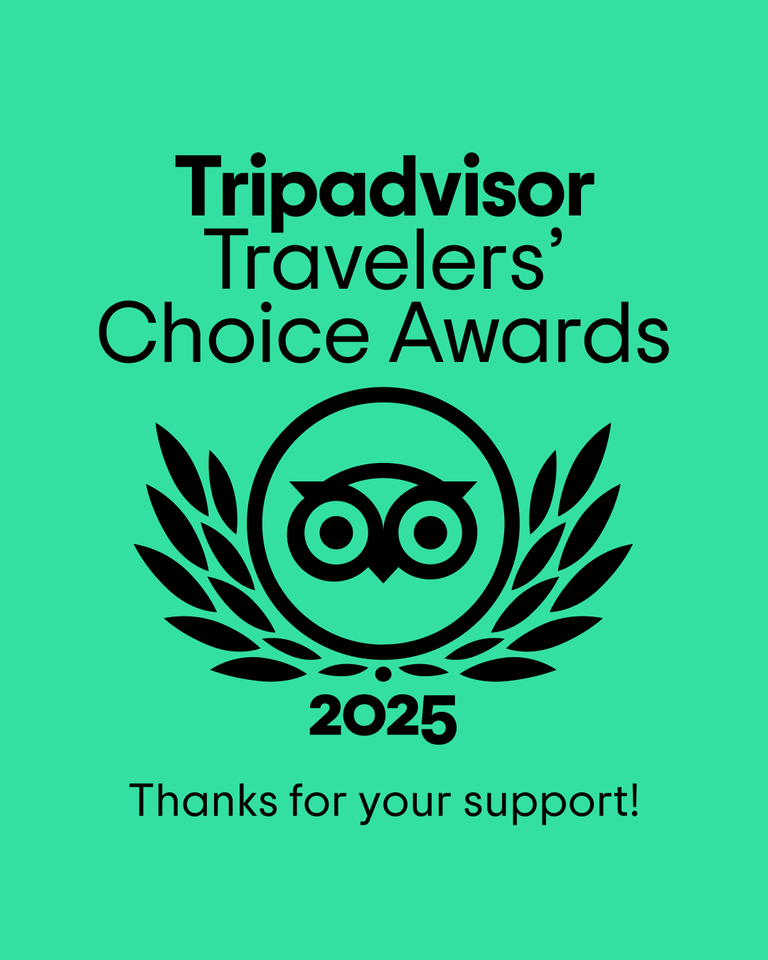PRINCESA TRIPADVISOR
