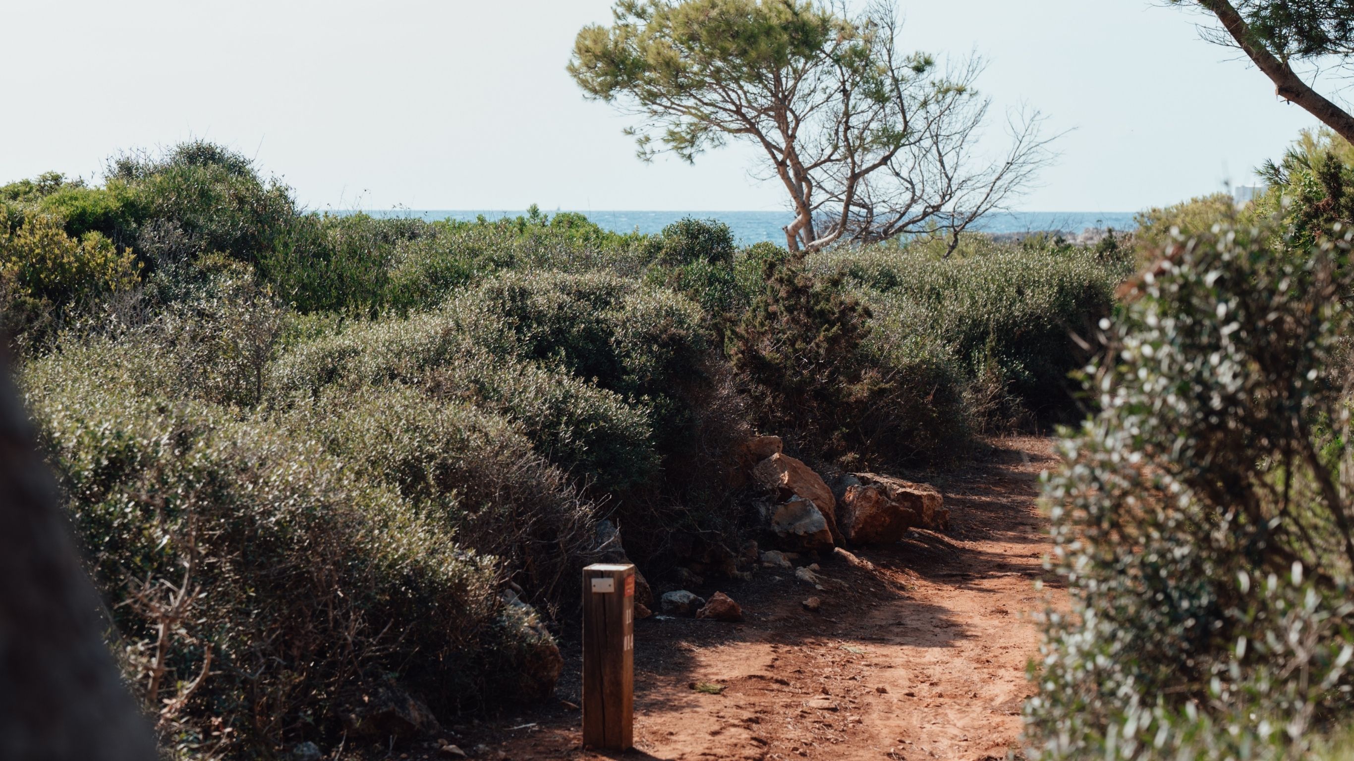 Sendero del Camí de Cavalls junto a la costa de Menorca